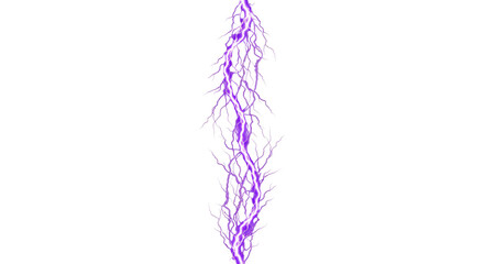 Vibrant purple lightning bolt striking down with intricate branches © Sapphire