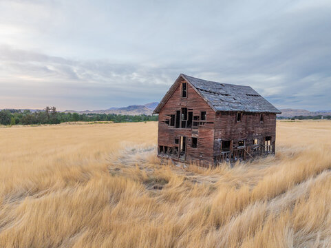 Lonely, dilapidated barn sits in vast golden grassland