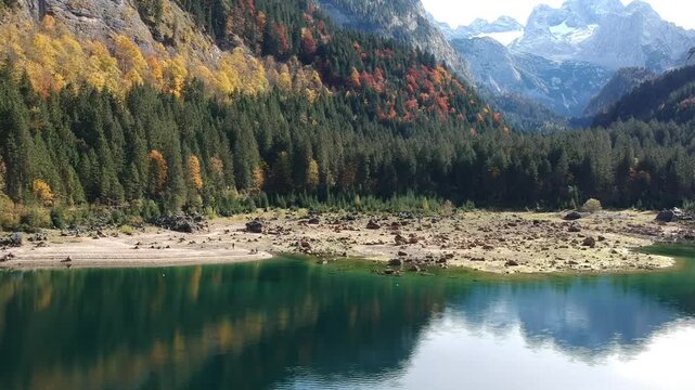 Colourful forest and dramatic Dachstein mountains frame Lake Gosau Austria in this scenic drone view across clear green Alpine water during autumn.