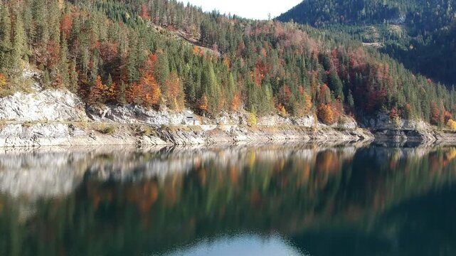 Colourful autumn forest mirrored in the clear water of Lake Gosau Austria, captured by drone along a rocky Alpine shoreline surrounded by mountains.