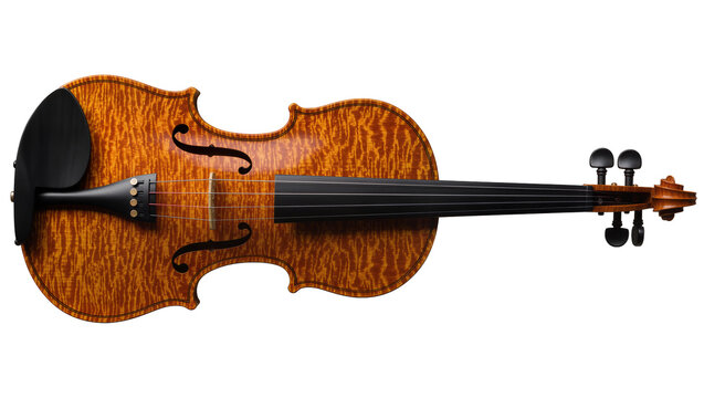 Quilted maple violin with black chinrest and ebony fingerboard, isolated on transparent background