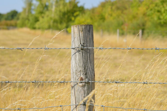 Wooden post with barbed wire 