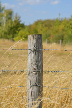 Wooden post with barbed wire fencing 