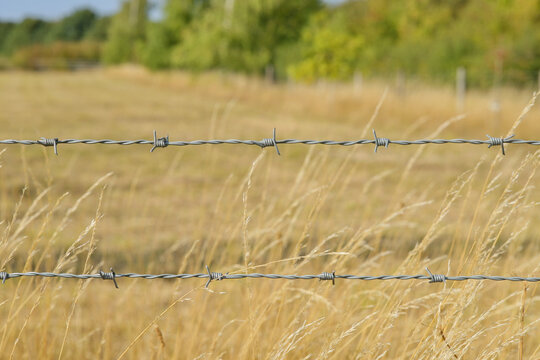 Wire fence with dry golden grass background 