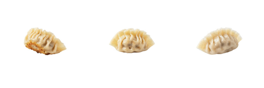 Steamed and Pan-Fried Dumplings or Potstickers PNG Collection Isolated on Transparent Background, Asian Food Delicacies for Restaurant Concepts and Graphic Design Assets