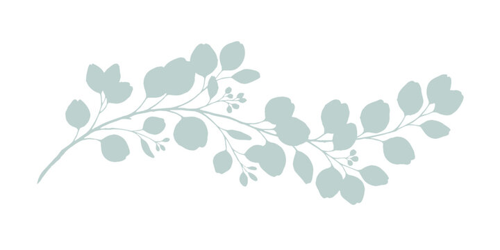 Pastel green eucalyptus branch silhouette, elegant botanical leaves garland, tender floral vine, and nature vector illustration
