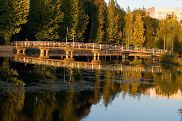 Fototapeta premium bridge over the river