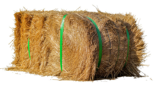 Rectangular golden hay bale with green straps, isolated on transparent background