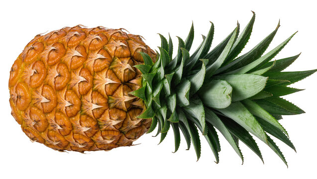 Ripe golden pineapple with spiky green leaves, isolated on transparent background