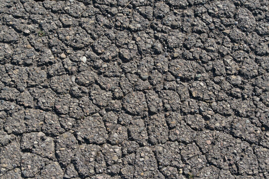 A dense network of deep fractures webs across the rough, weathered asphalt. An expressive texture of decay capturing the raw essence of passing time and urban deterioration in detail.