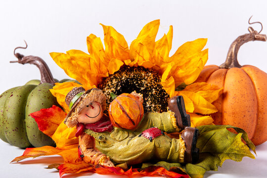 Fall sunflower pumpkins and scarecrow figurine on white background