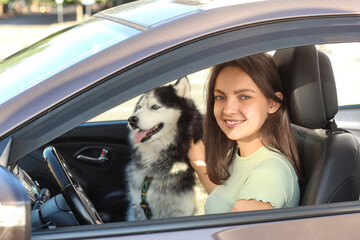 Pet friendly travel and road trip adventure, happy young woman driving car with her siberian husky dog © Pixel-Shot