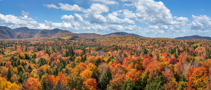 Autumn Panorama from the Kancamagus Highway - New Hampshire White Mountains