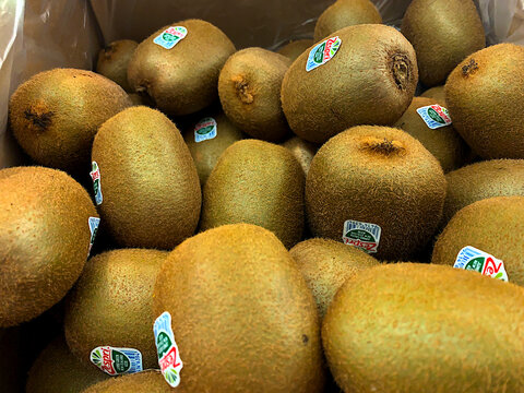 GERMANY - AUGUST 23, 2026: Fresh Zespri green kiwifruits with brand price look-up (PLU) stickers packed in a box on display at a grocery store shelf.