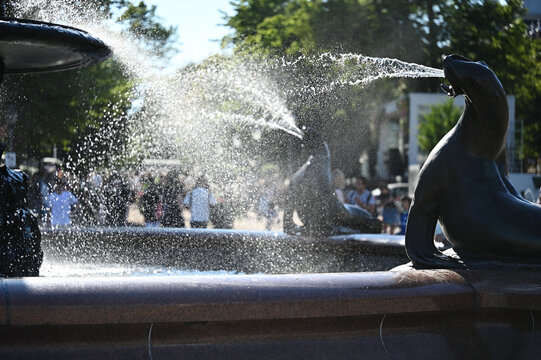 A close-up view of a fountain featuring a seal sculpture spouting water into the basin