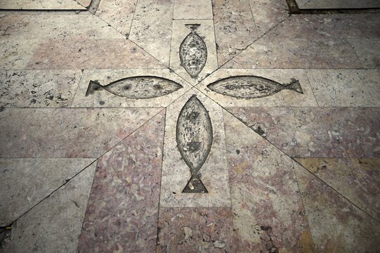 Fish crossing on Cal&ccedil;ada, pavement mosaic, pattern, pedestrian zone, Lisbon, Portugal