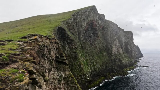 Thousands of seabirds flying around the towering cliffs of the Isle of Foula, Shetland, Scotland, United Kingdom