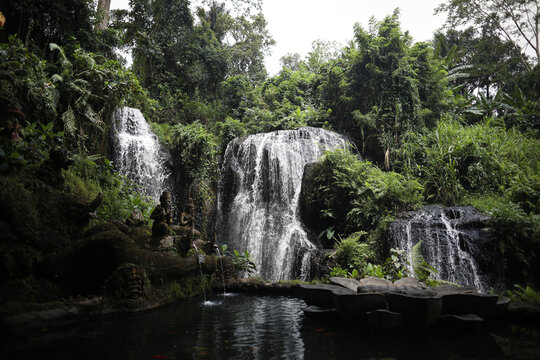 waterfall in the jungle