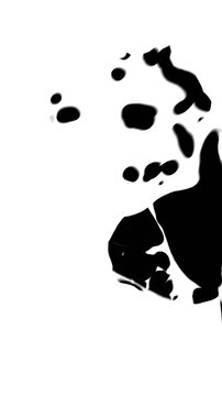 White fluid surges, fills, and dissipates in a high‑contrast black background, forming chaotic waves and fragmented droplets.