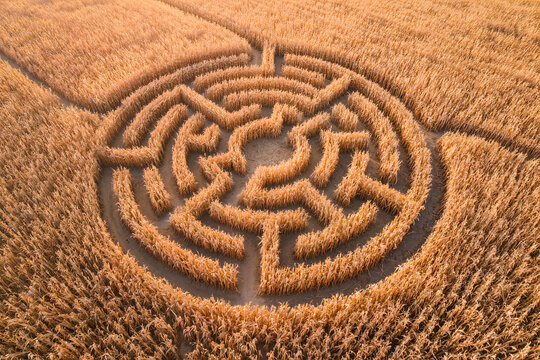 Circular corn maze cut into a golden dried cornfield photographed from directly overhead by drone