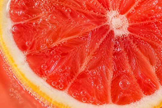 Grapefruit slice submerged in sparkling liquid closeup macro
