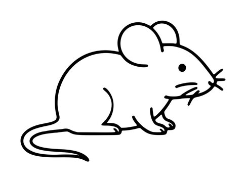 Cute mouse vector icon featuring a simple line art illustration of a small rodent with large ears and a long tail, perfect for minimalist graphic design projects and animal themed web elements.