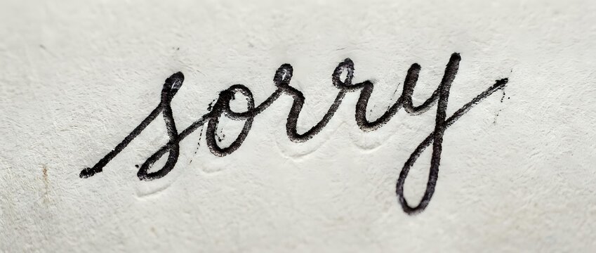 Handwritten word sorry in cursive script on textured paper surface