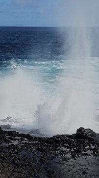Close distance view of blowhole spouting water on Galapagos Islands vertical video