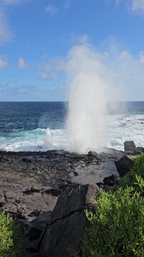 Blowhole spouting large plumes of water on Galapagos Islands with churning ocean waves vertical video