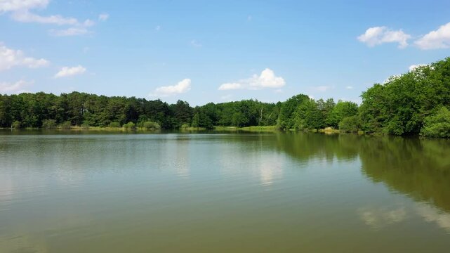 Wide static shot of Etang du Gue l'Eveque, a tranquil freshwater lake surrounded by lush green forest under a blue sky with scattered clouds. Filmed in Loiret, Centre-Val de Loire, France.