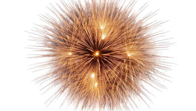 Golden dandelion seed head exploding with light, isolated on transparent background