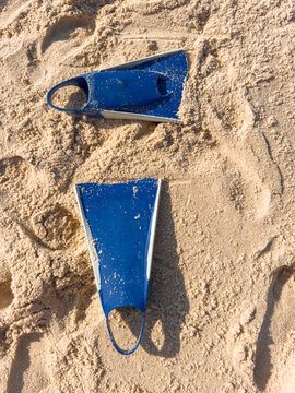 Blue swim fins on sandy beach