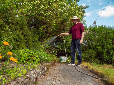 Gardener waters vibrant orange marigolds under sunny skies. Man in hat smiles as he tends to lush greenery. Ideal for gardening, summer, or wellness themes. Path leads through thriving plants