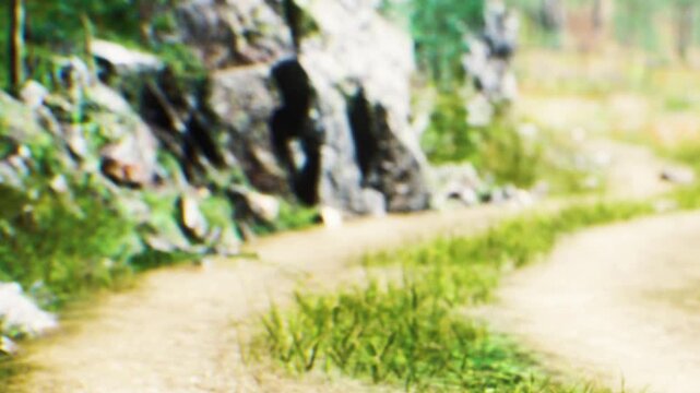 A path winds through a green area with tall grass and large rocks. The setting is outdoors, showing natural elements and the beauty of the landscape during daylight.
