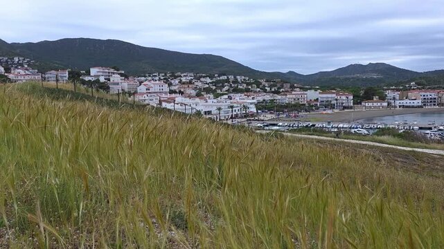 grass by the waterfront in Llanca town, Spain