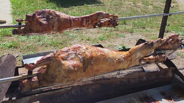 Two whole animals are cooking on a spit over heat