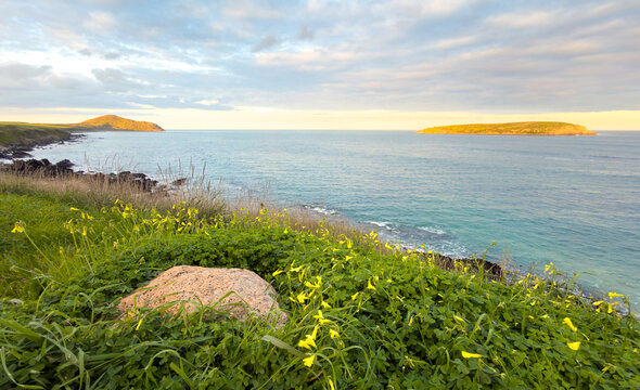 Beautiful landscape scenery on the Heysen Trail near Kings Beach with wild coastal views towards The Bluff in Encounter Bay, South Australia at dusk