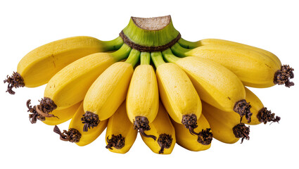 Bunch of ripe yellow bananas with green stems, isolated on transparent background © Corotaev