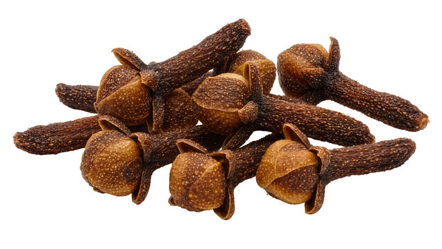 Dried brown cloves spice with textured surface, isolated on transparent background