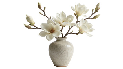 Naklejka premium Creamy white magnolia flowers and buds in a cracked ceramic vase, isolated on transparent background