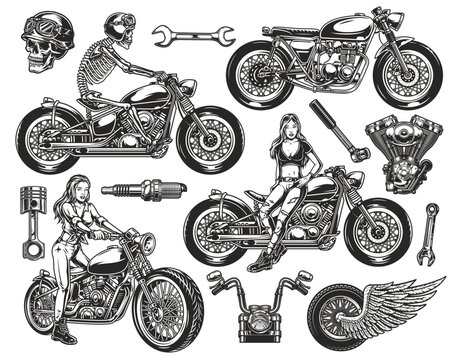 vector illustration