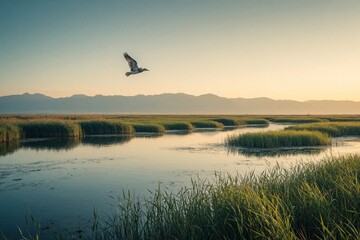 Naklejka premium Bird flies over calm marsh water with reeds and distant mountains under a hazy golden sky. This peaceful wildlife scene suggests natural beauty and quiet solitude in a wetland habitat.