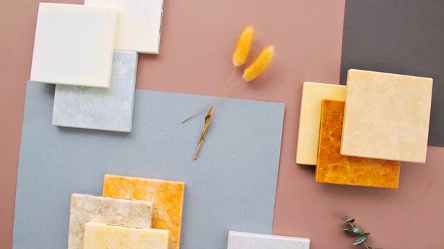 Flat lay of square marble and stone tile samples with eucalyptus sprig on dual-tone background. Top view of interior design material swatches for architectural moodboard and surface decoration.