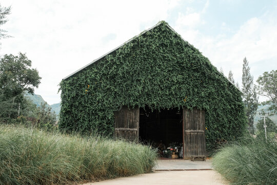 Eco-friendly building covered in lush green vegetation, showcasing sustainable architecture, biophilic design and green living in a peaceful natural landscape.
