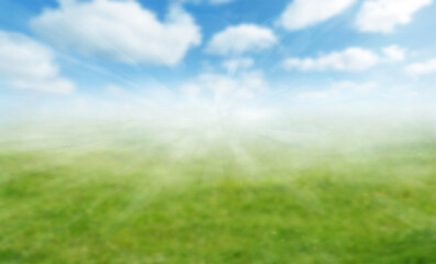 Fototapeta premium Spring grass and sky blurred abstract background
