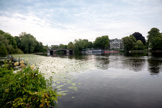 View across the Au&szlig;enalster lake beneath willow trees in Hamburg, Germany.