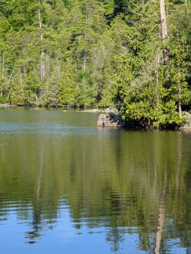A park with beautiful conifers&mdash;cypresses and a lake whose waters flow past a rocky islands. A quiet, sunny day, with no people around. Rockwood&mdash;nature in the province of Ontario, Canada.