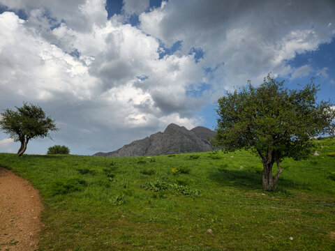 Lush green meadow bordered by a dirt trail, scattered trees, and rugged mountain peaks rising beneath a dramatic sky full of billowing clouds.
📍 Dezli, Sarvabad, Kurdistan 