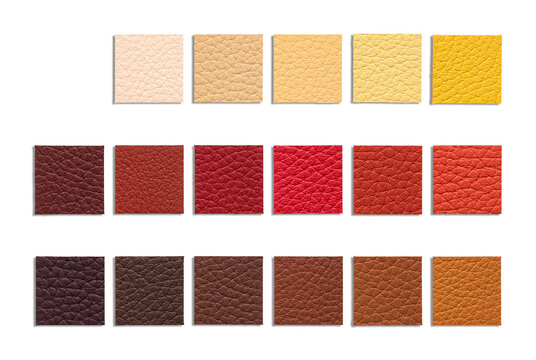 Assortment of vibrant and neutral leather sample swatches arranged on white background