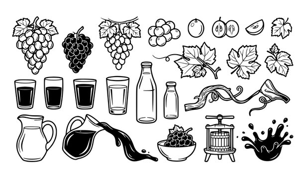 Wine and Grape Collection with Bottles, Glasses, Vine Leaves, Grapes, Pitcher, Wine Press and Traditional Vineyard Elements